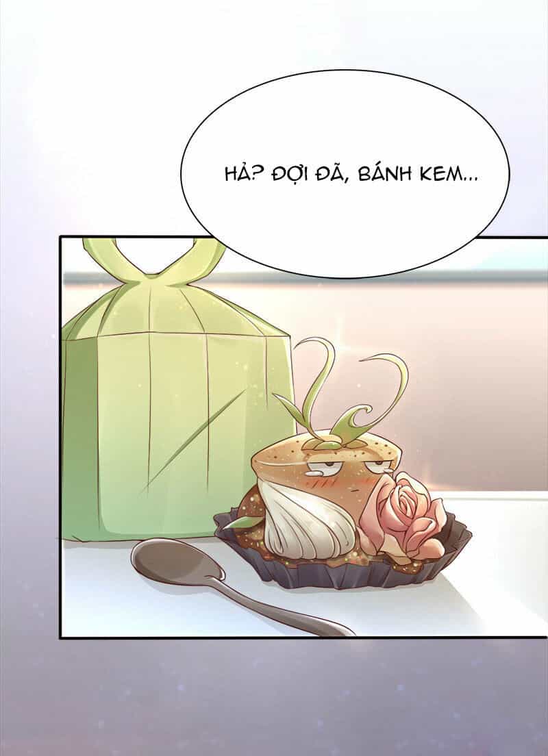 Lãnh Hôn Cuồng Ái - Chương 29 - ảnh 25