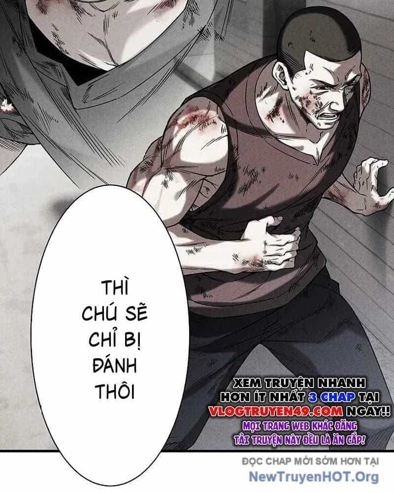 Lão Đại Trung Niên Không Danh - Chương 2 - ảnh 53