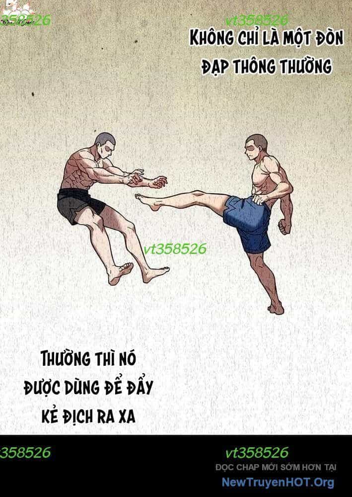 Lão Đại Trung Niên Không Danh - Chương 8 - ảnh 53