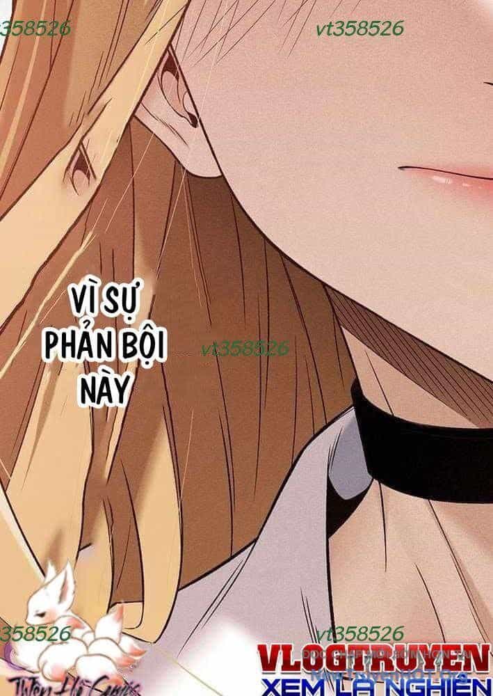 Lão Đại Trung Niên Không Danh - Chương 9 - ảnh 107