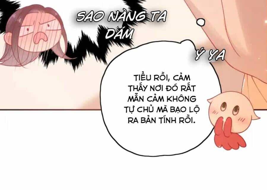 Lão Đại Xuyên Không Gả Cho Phu Quân Mù - Chương 15 - ảnh 29