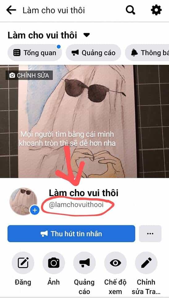 Lão Đại Xuyên Không Thành Tiên Nữ - Chương 95 - ảnh 48