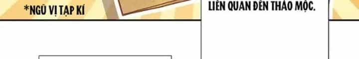 Lão Đại Xuyên Không Thành Tiên Nữ - Chương 269 - ảnh 18