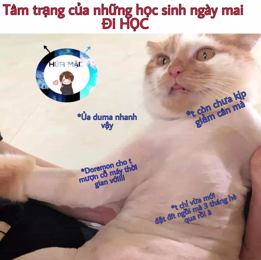 Lão Đại Xuyên Không Thành Tiên Nữ - Chương 33.1 - ảnh 25