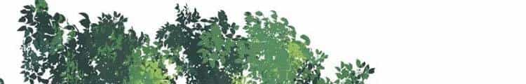 Lão Tổ Luyện Thể Mạnh Nhất Lịch Sử - Chương 41 - ảnh 228