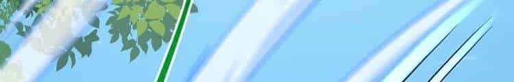 Lão Tổ Luyện Thể Mạnh Nhất Lịch Sử - Chương 41.5 - ảnh 18