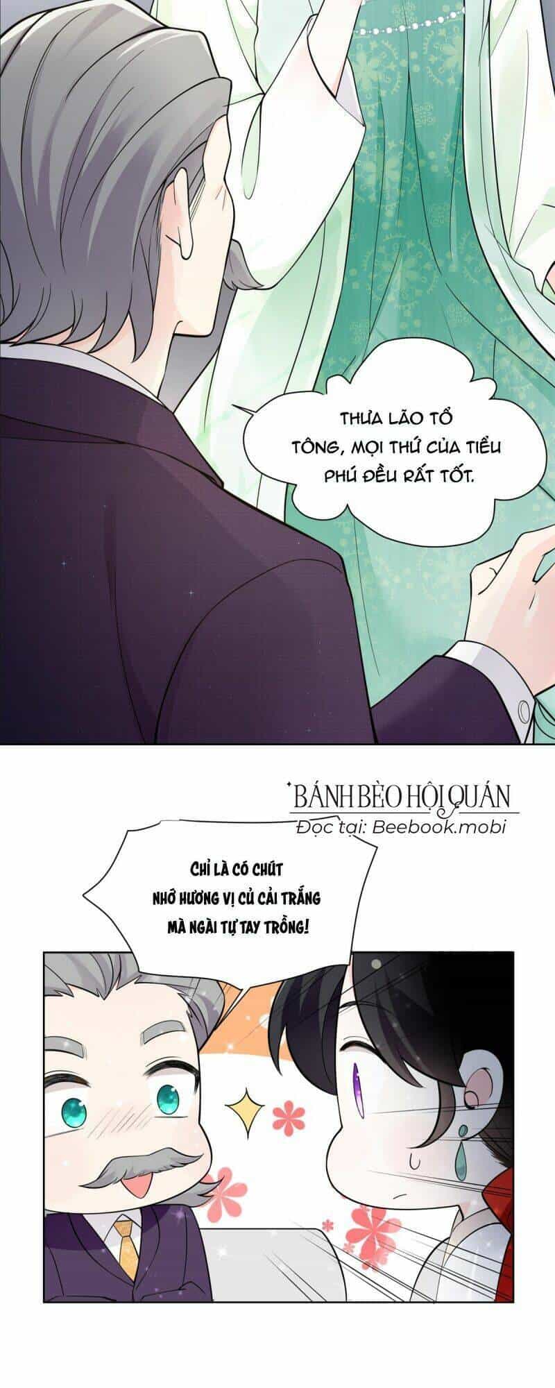 Lão Tổ Tông Vừa Xinh Vừa Ngầu - Chương 2 - ảnh 17