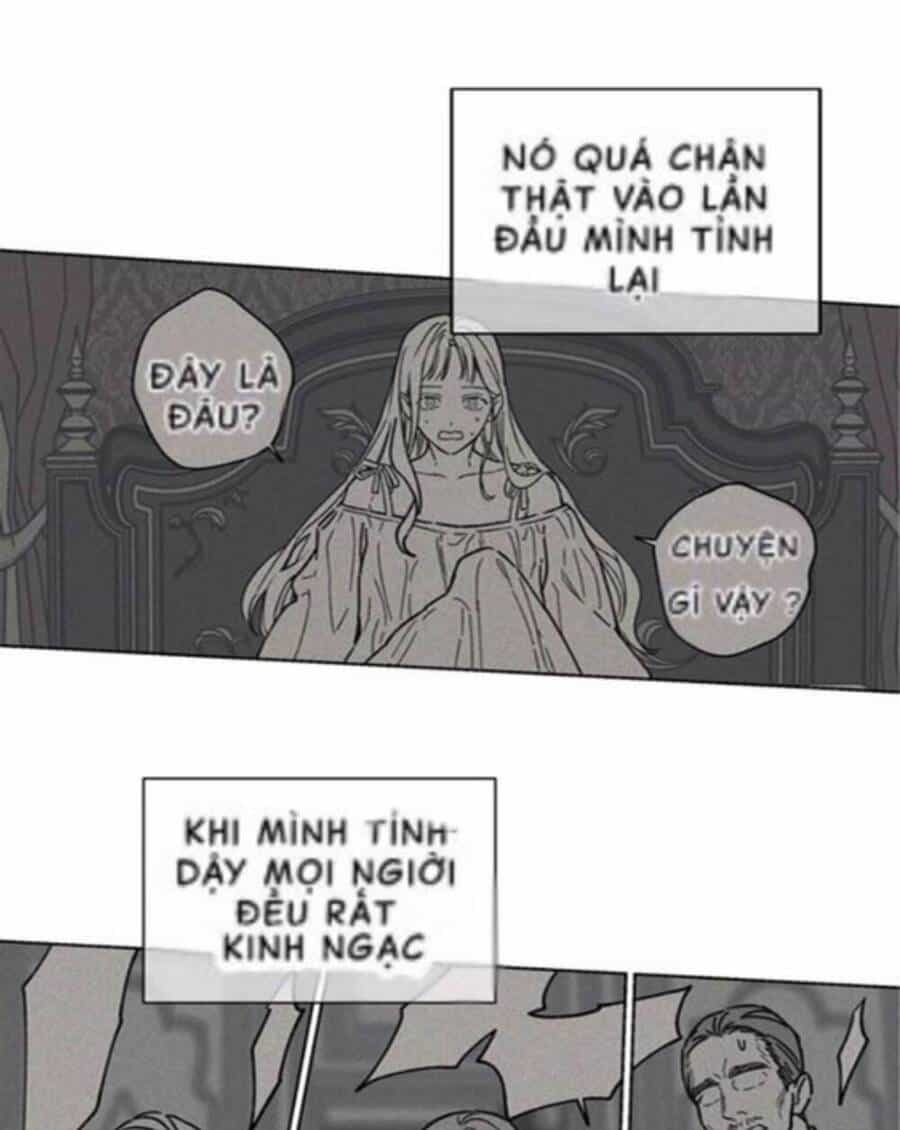 Lâu Đài Hoa Hồng Trắng Của Elise - Chương 1 - ảnh 58