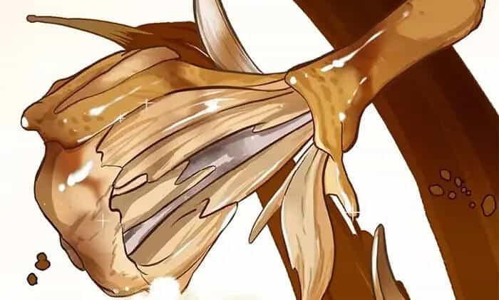 Level Up Chỉ Bằng Cách Ăn Cơm - Chương 101 - ảnh 51