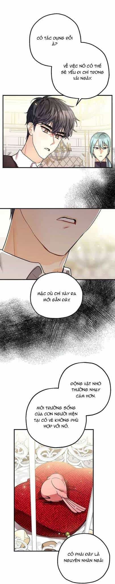 Liều Thuốc An Thần Của Bạo Chúa - Chương 7 - ảnh 10