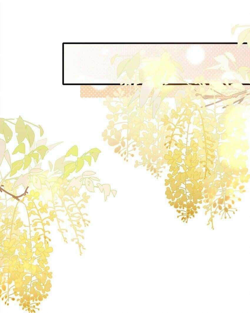 Loạn Thế Vi Vương - Chương 47 - ảnh 19