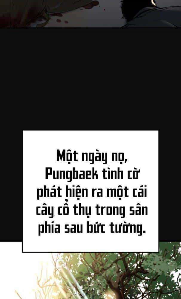 Lời Nguyền Của Dangun - Chương 25 - ảnh 33