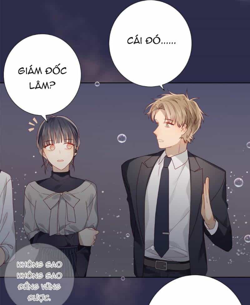 Lời Thề Như Sương Triều - Chương 13 - ảnh 5