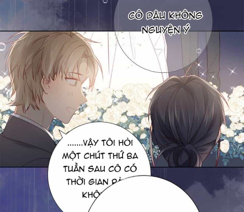Lời Thề Như Sương Triều - Chương 13 - ảnh 8