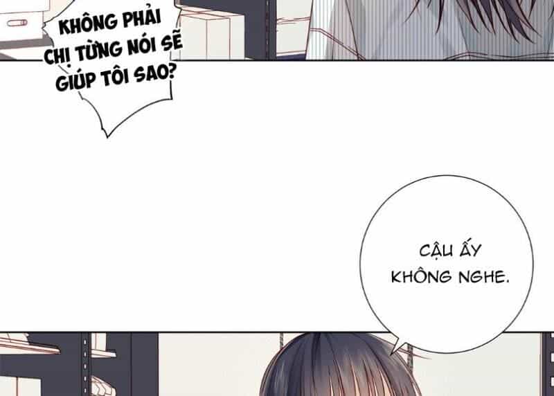 Lời Thề Như Sương Triều - Chương 17 - ảnh 2