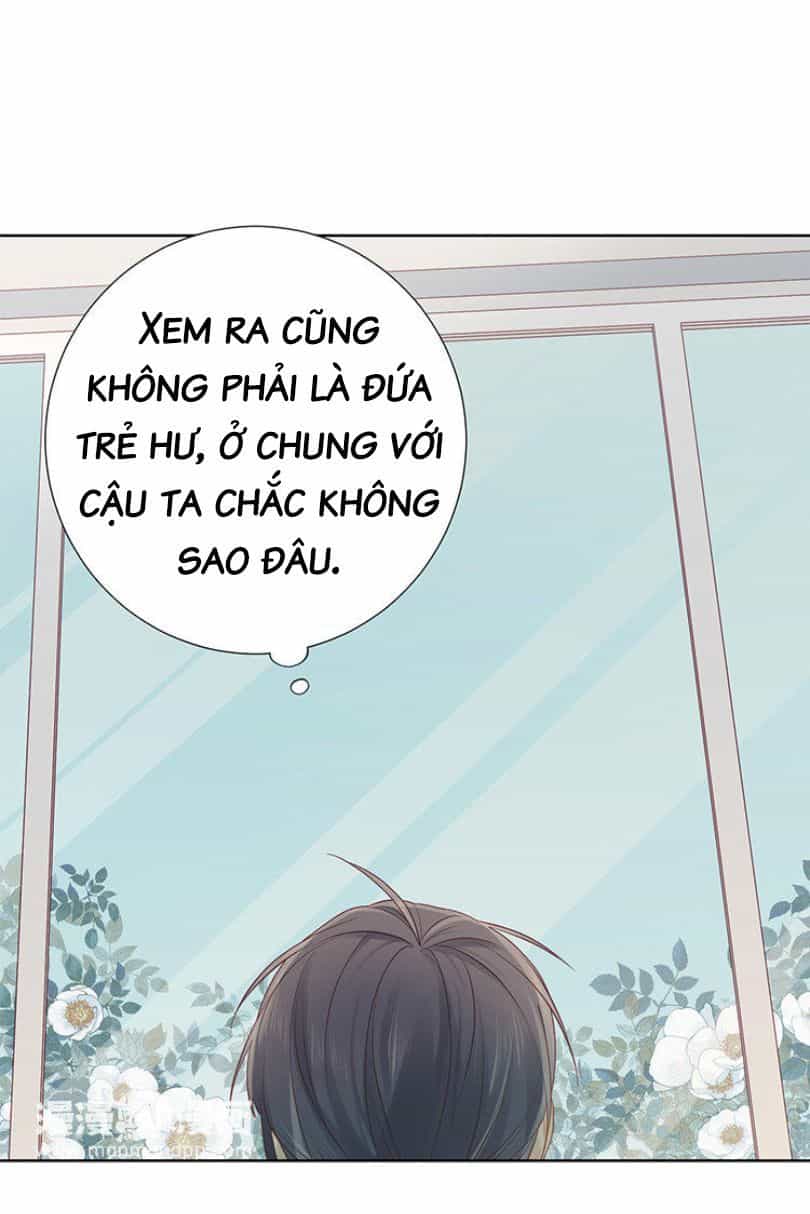 Lời Thề Như Sương Triều - Chương 8 - ảnh 12