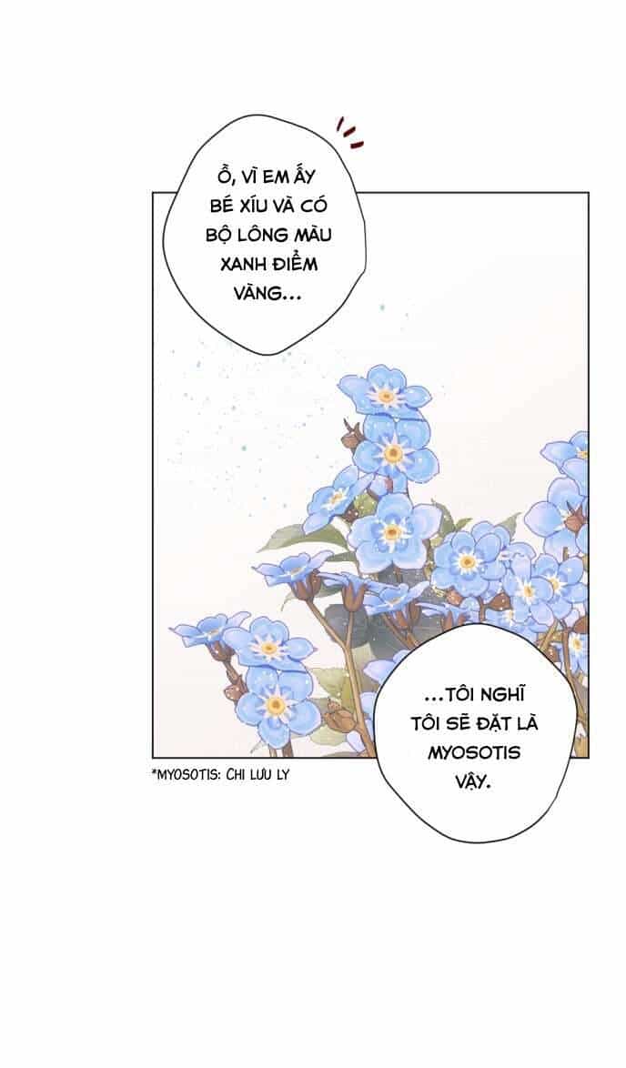 Lời Thú Nhận Của Chúa Tể Bóng Tối - Chương 11 - ảnh 14
