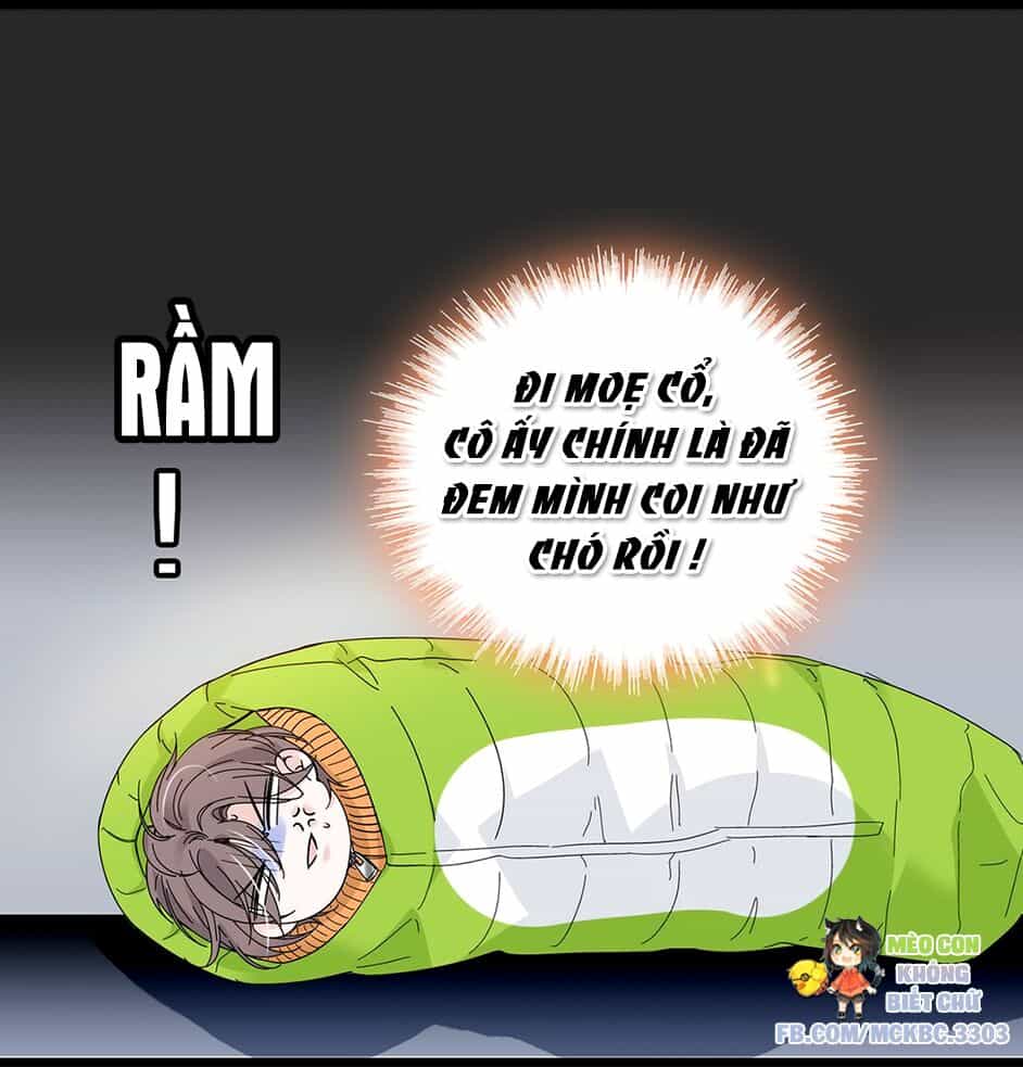 Long Phượng Phiên Chuyển - Chương 2 - ảnh 97