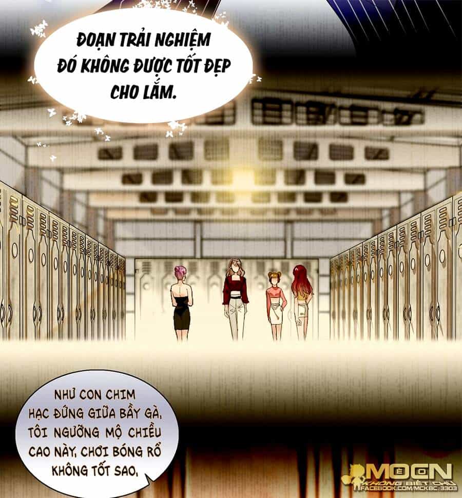 Long Phượng Phiên Chuyển - Chương 45 - ảnh 11