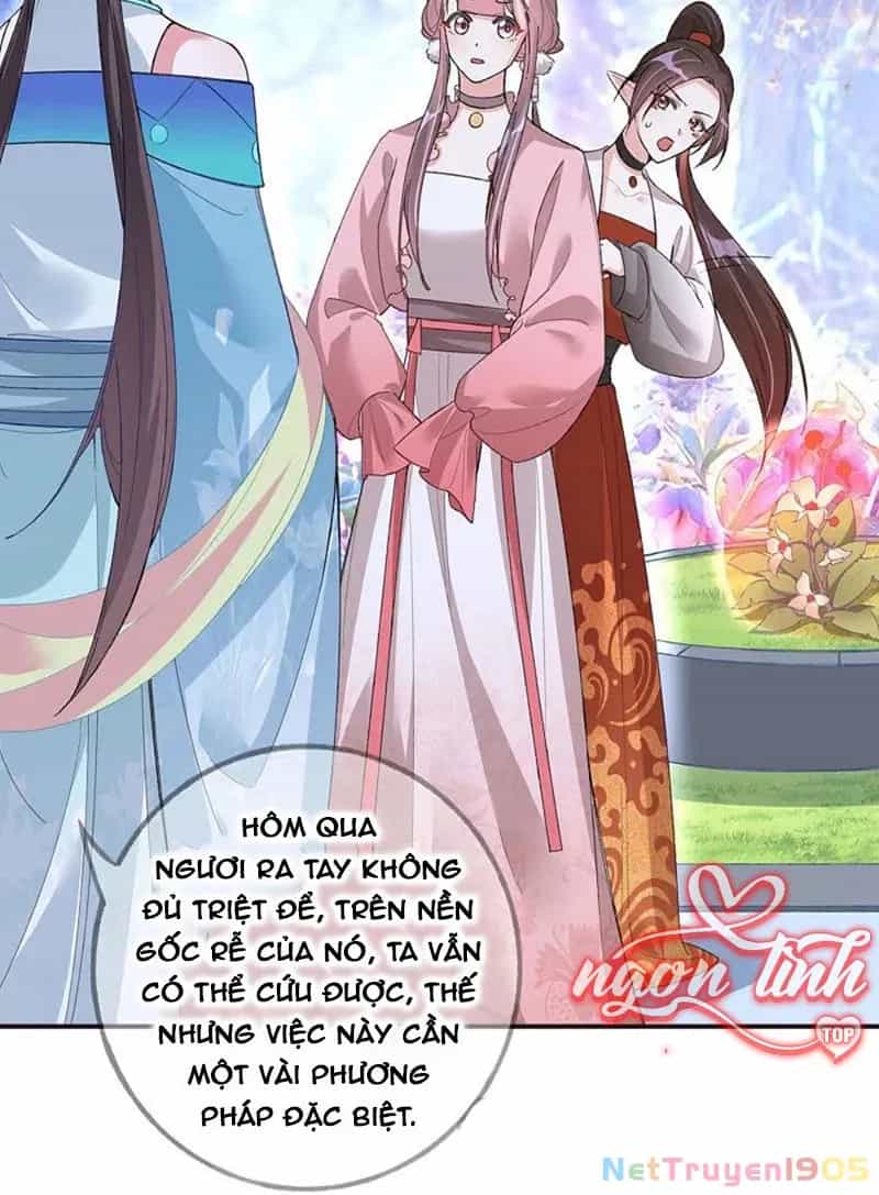 Long Vương Truy Thê - Chương 21 - ảnh 28