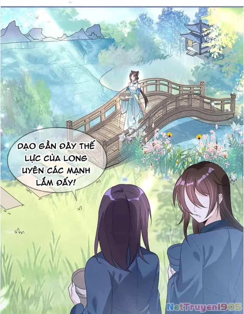 Long Vương Truy Thê - Chương 22 - ảnh 50