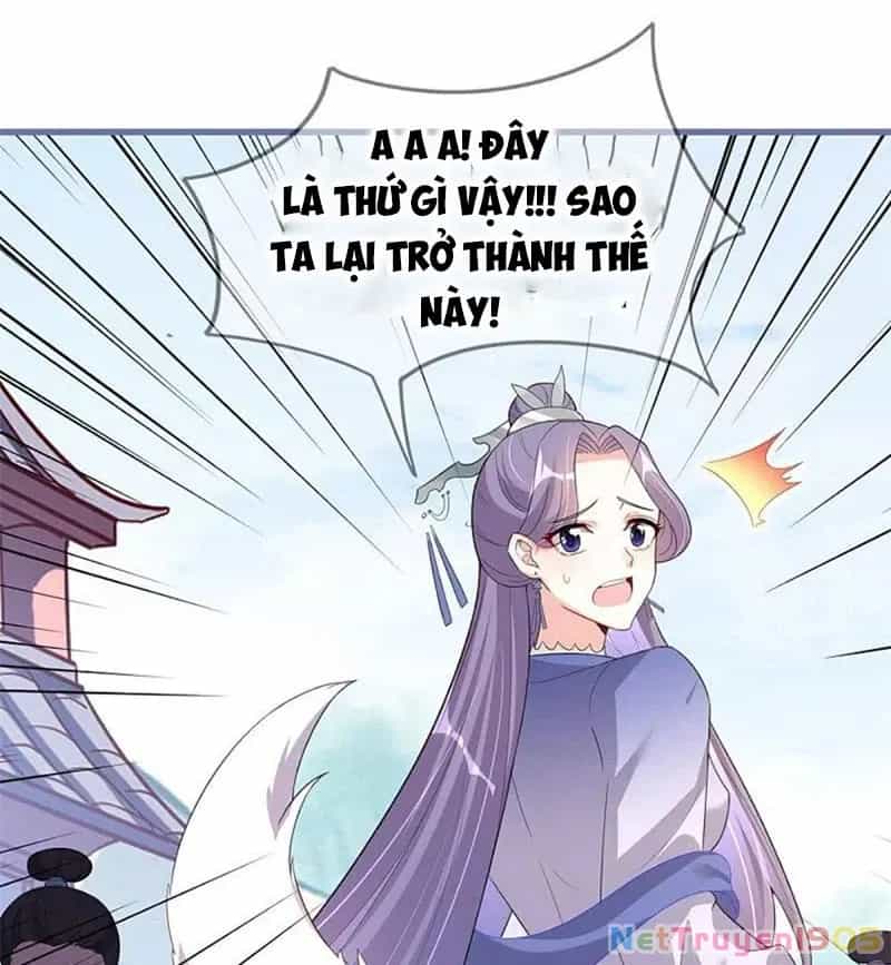 Long Vương Truy Thê - Chương 28 - ảnh 22