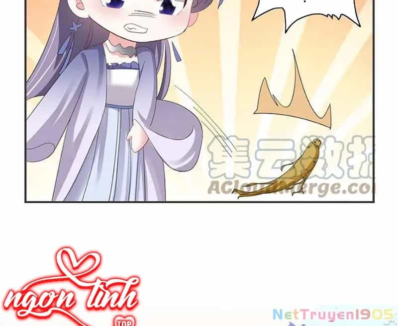 Long Vương Truy Thê - Chương 29 - ảnh 72