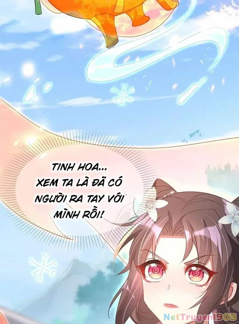 Long Vương Truy Thê - Chương 35 - ảnh 22
