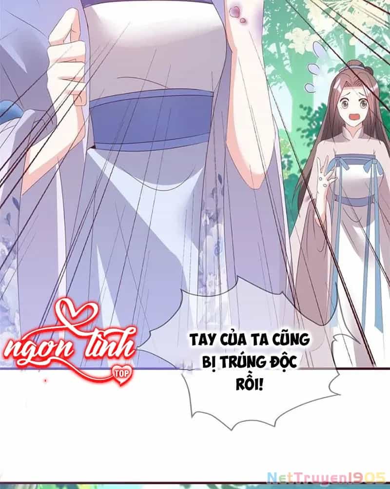 Long Vương Truy Thê - Chương 38 - ảnh 50