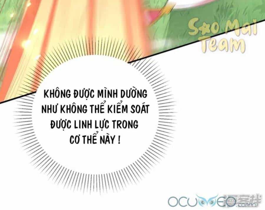 Long Vương Truy Thê - Chương 4 - ảnh 23