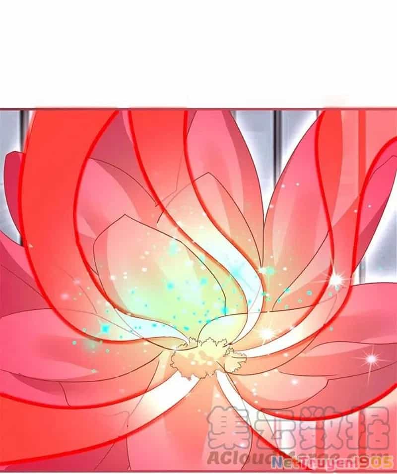 Long Vương Truy Thê - Chương 45 - ảnh 44