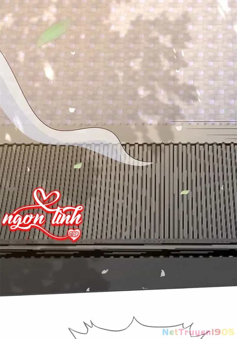 Long Vương Truy Thê - Chương 45 - ảnh 84