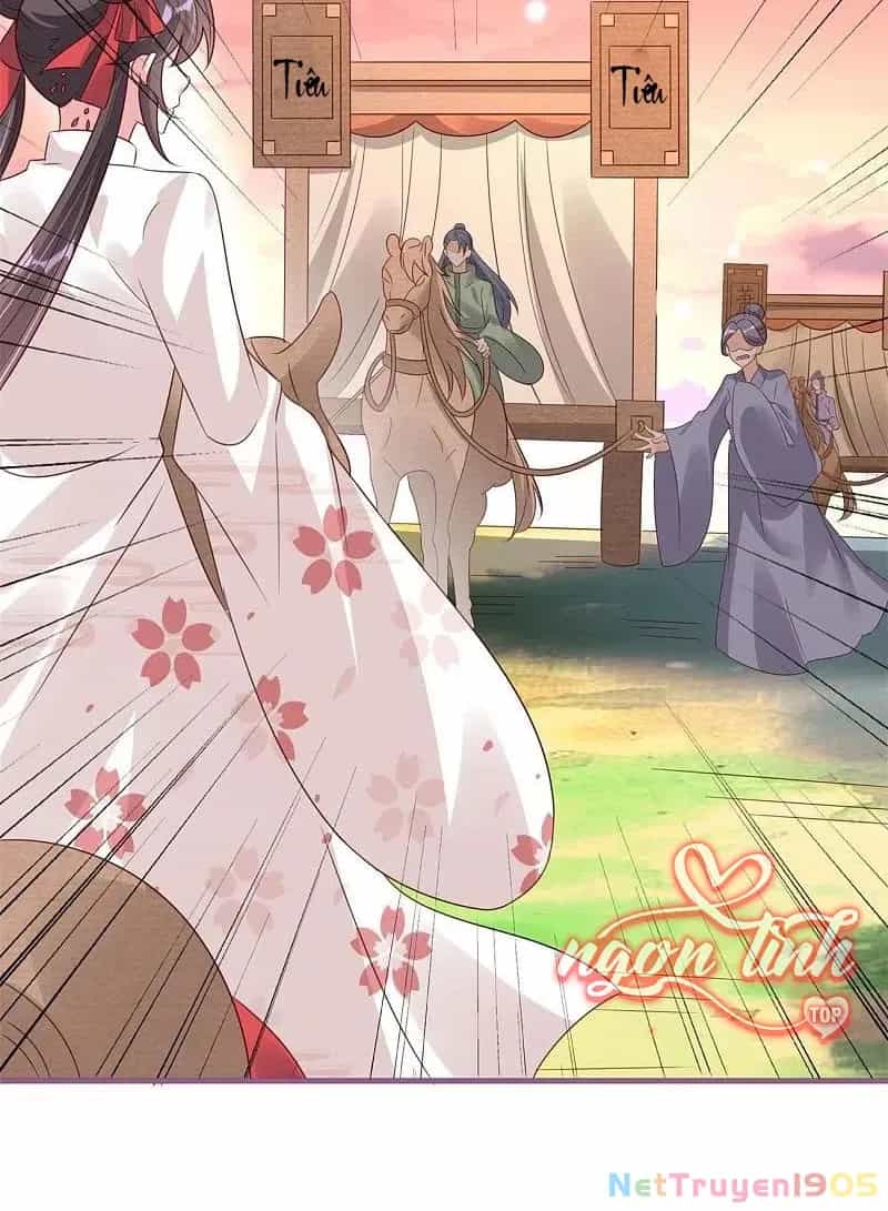 Long Vương Truy Thê - Chương 48 - ảnh 18