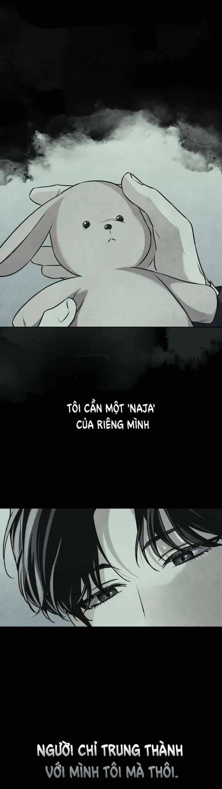 Lửa Hồn - Chương 30 - ảnh 4