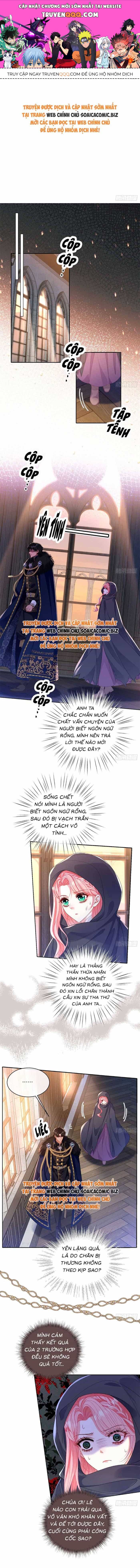 Luật Sống Chung Với Người Chồng Hung Ác - Chương 4 - ảnh 1