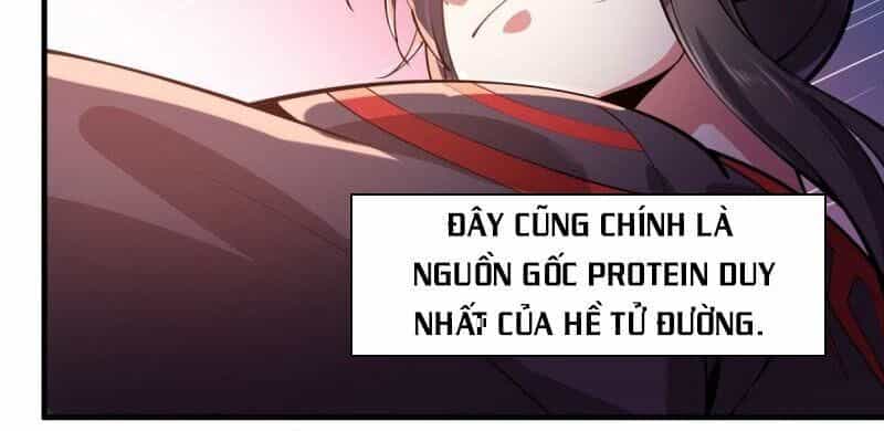 Lực Bạt Sơn Hà Hề Tử Đường - Chương 1 - ảnh 20