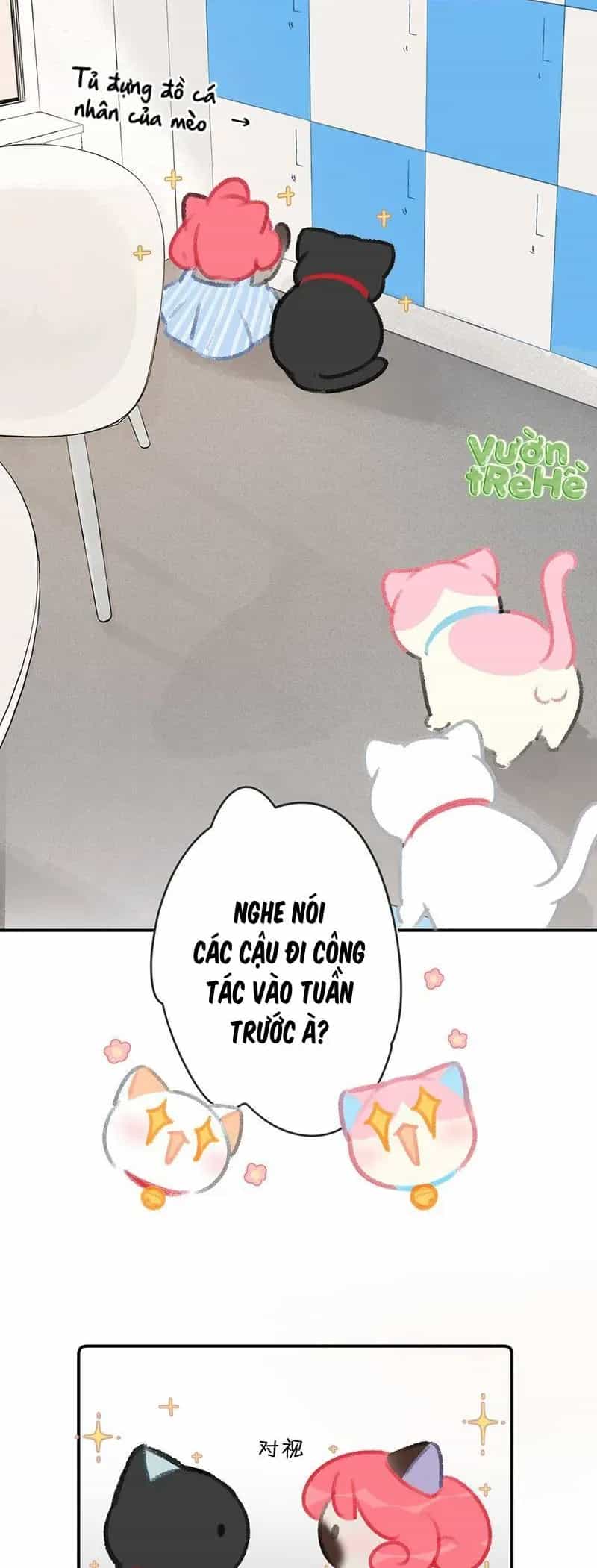 Lục Lạc Mèo - Chương 22 - ảnh 12
