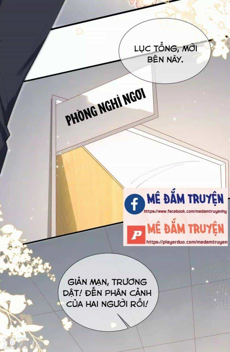 Lục Tổng, Vợ Ngài Lại Lên Top Tìm Kiếm Nữa Rồi! - Chương 11 - ảnh 21