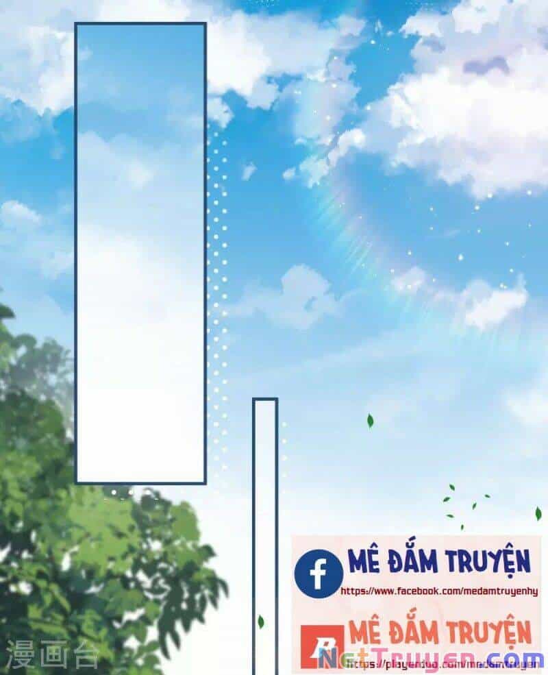 Lục Tổng, Vợ Ngài Lại Lên Top Tìm Kiếm Nữa Rồi! - Chương 16 - ảnh 19