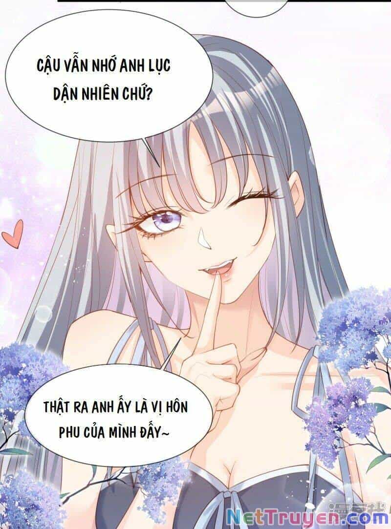 Lục Tổng, Vợ Ngài Lại Lên Top Tìm Kiếm Nữa Rồi! - Chương 17 - ảnh 14
