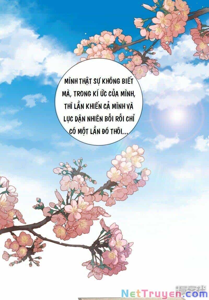 Lục Tổng, Vợ Ngài Lại Lên Top Tìm Kiếm Nữa Rồi! - Chương 17 - ảnh 2