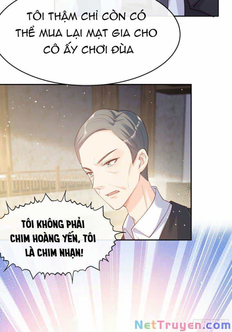 Lục Tổng, Vợ Ngài Lại Lên Top Tìm Kiếm Nữa Rồi! - Chương 28 - ảnh 39