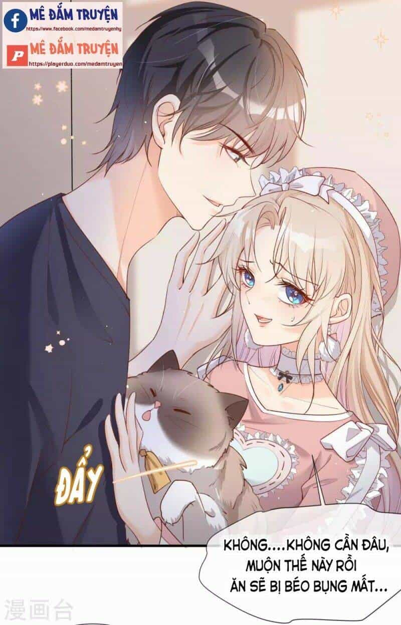 Lục Tổng, Vợ Ngài Lại Lên Top Tìm Kiếm Nữa Rồi! - Chương 4 - ảnh 4