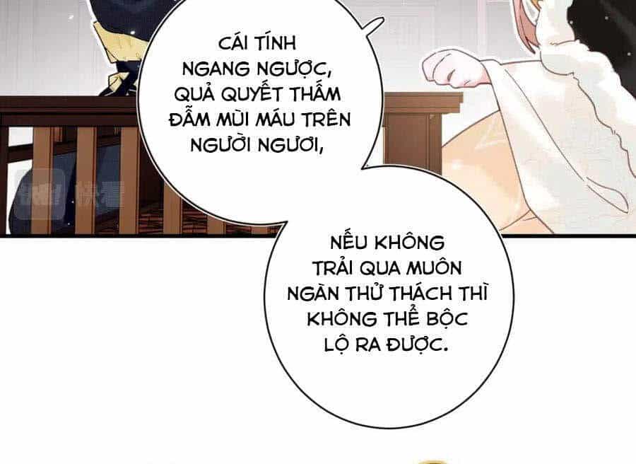 Lui Lui Lui Lui Ra! - Chương 41 - ảnh 14