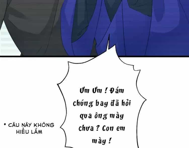 Luôn Có Điêu Dân To Gan Muốn Hại Trẫm - Chương 7 - ảnh 62