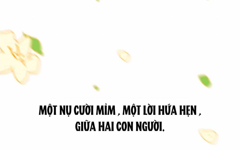 Lưu Hoa Bất Cập Xuân - Chương 0 - ảnh 10