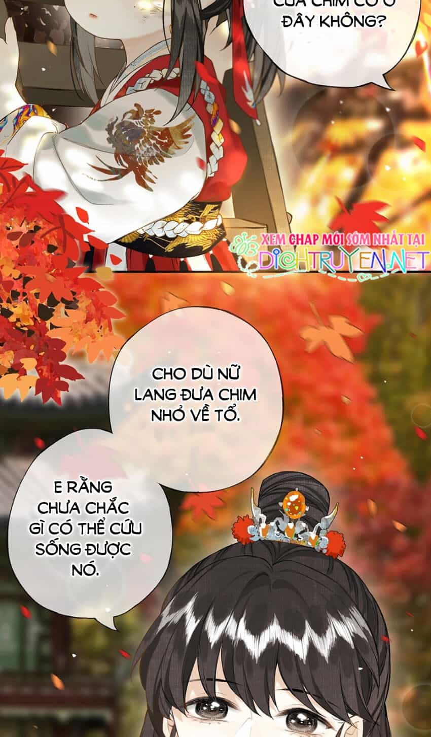 Lưu Hoa Bất Cập Xuân - Chương 22 - ảnh 8