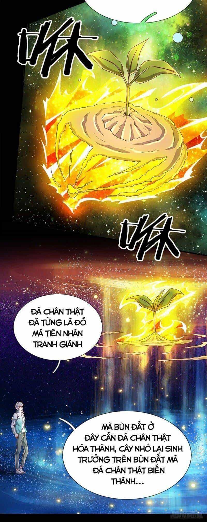 Luyện Thể Trăm Nghìn Tầng - Chương 181 - ảnh 26