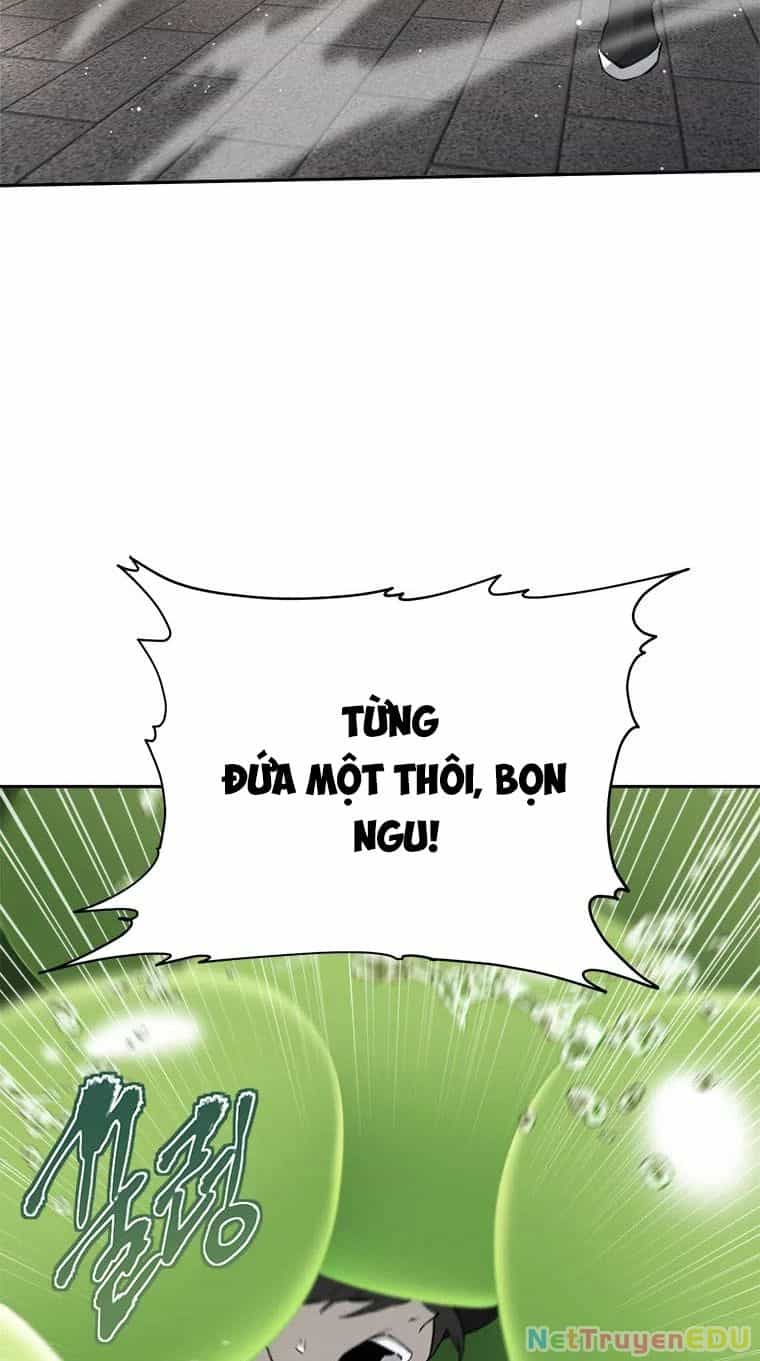 Lv 1 Bất Khả Chiến Bại - Chương 9 - ảnh 42