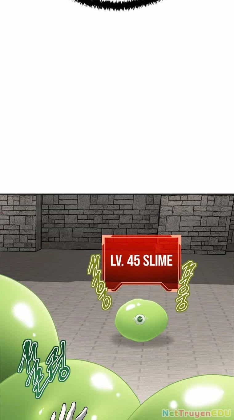 Lv 1 Bất Khả Chiến Bại - Chương 9 - ảnh 47